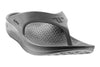 Dolphin Gray - Telic